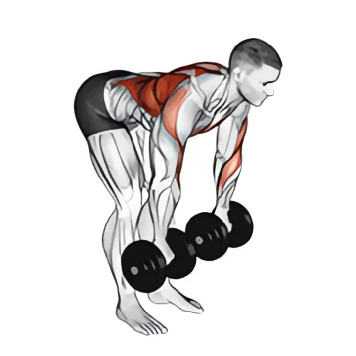 dumbbell palm rotational bent over row
