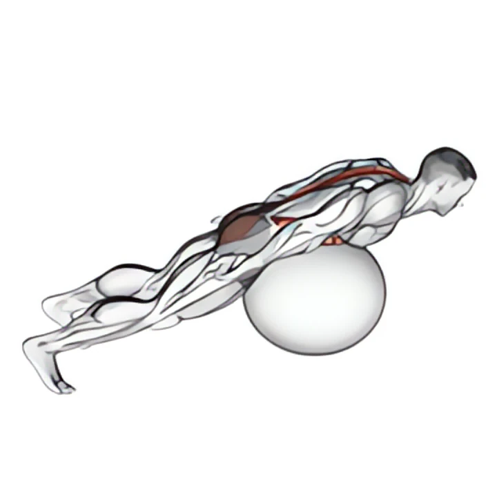 exercise ball back extension with rotation