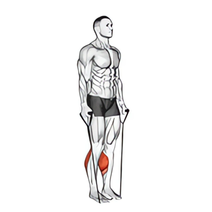 band two legs calf raise – (band under both legs) v. 2