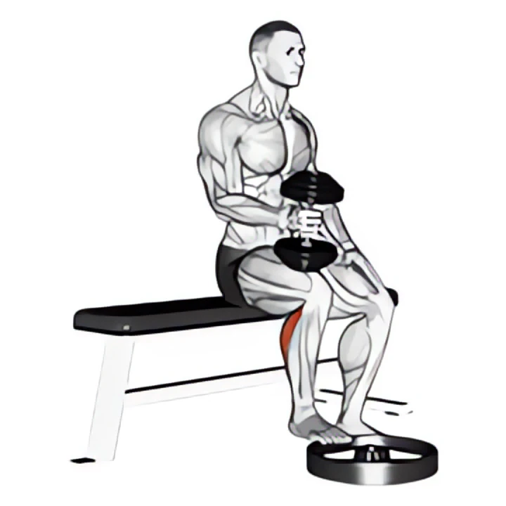dumbbell seated one leg calf raise – hammer grip