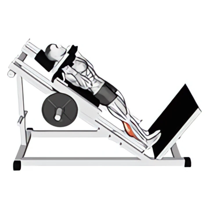 hack calf raise