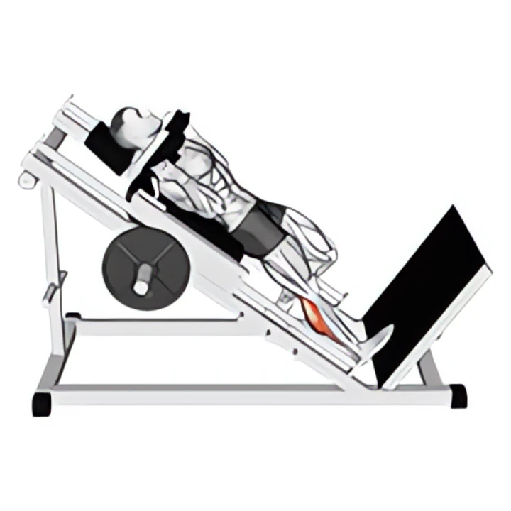 hack one leg calf raise