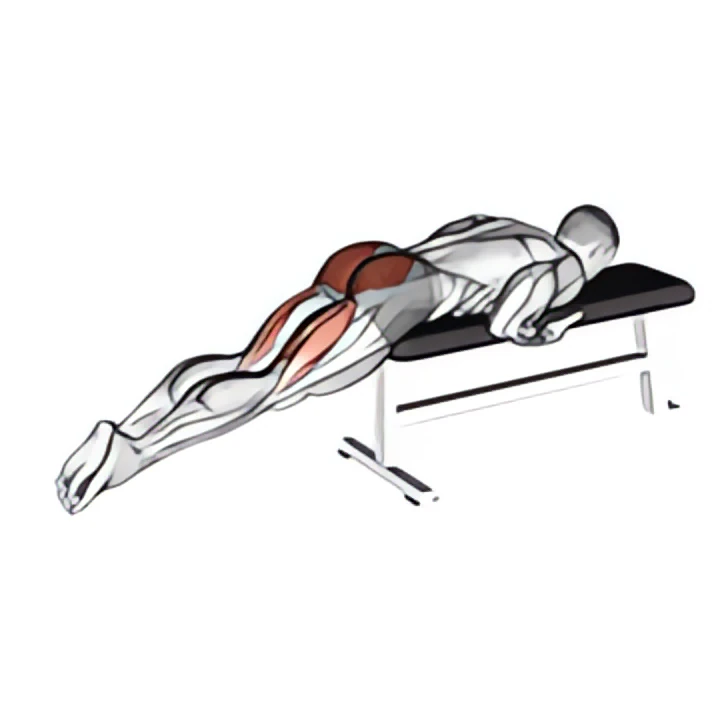 reverse hyper on flat bench