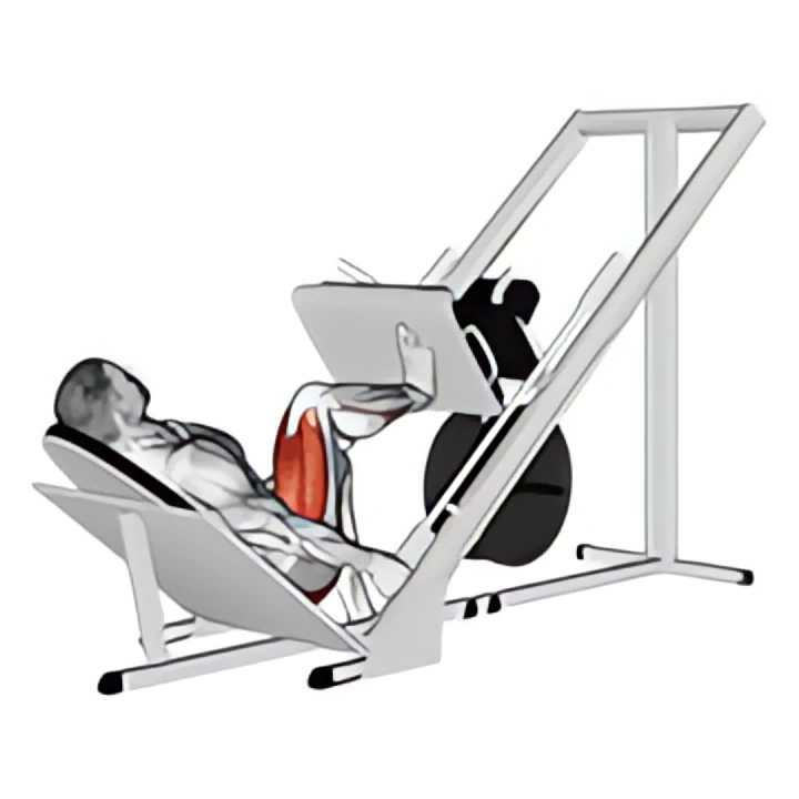 sled 45 degrees one leg press
