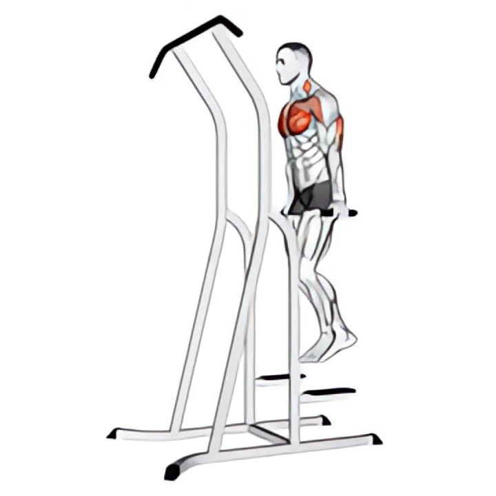 chest dip (on dip-pull-up cage)