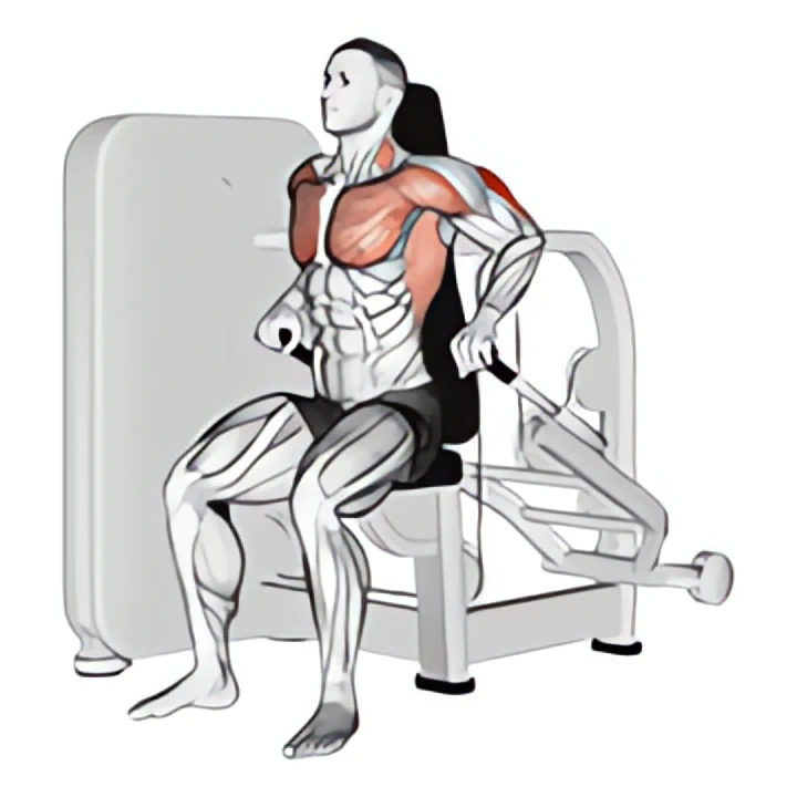 lever seated dip