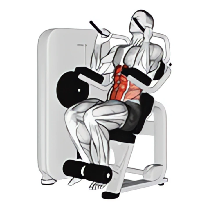 lever seated crunch