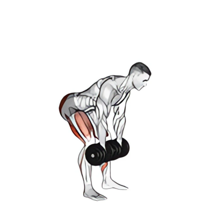 dumbbell romanian deadlift
