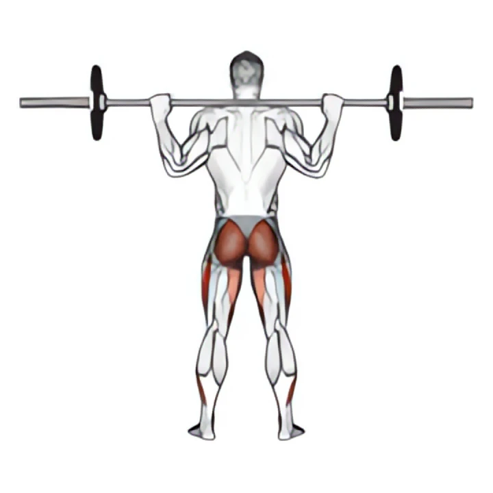 barbell full squat (back pov)