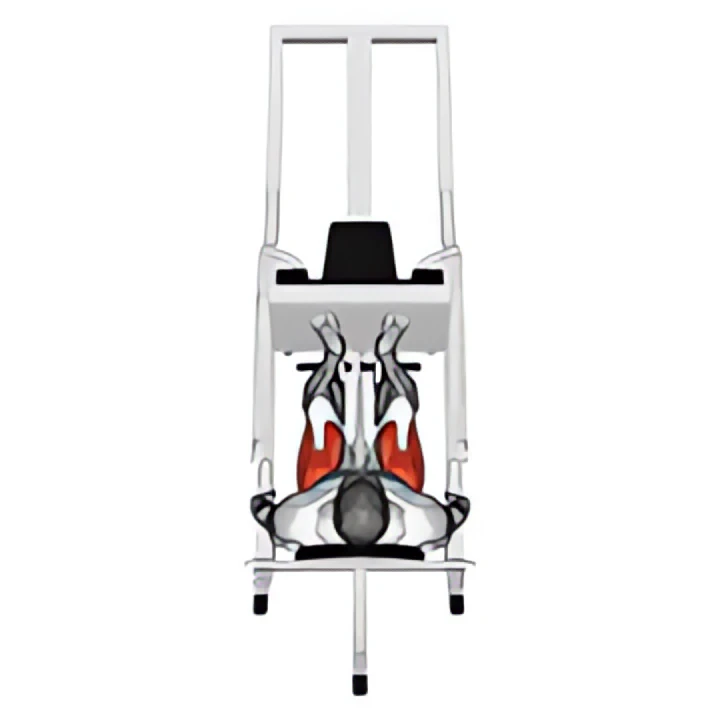 sled 45в° leg press (back pov)