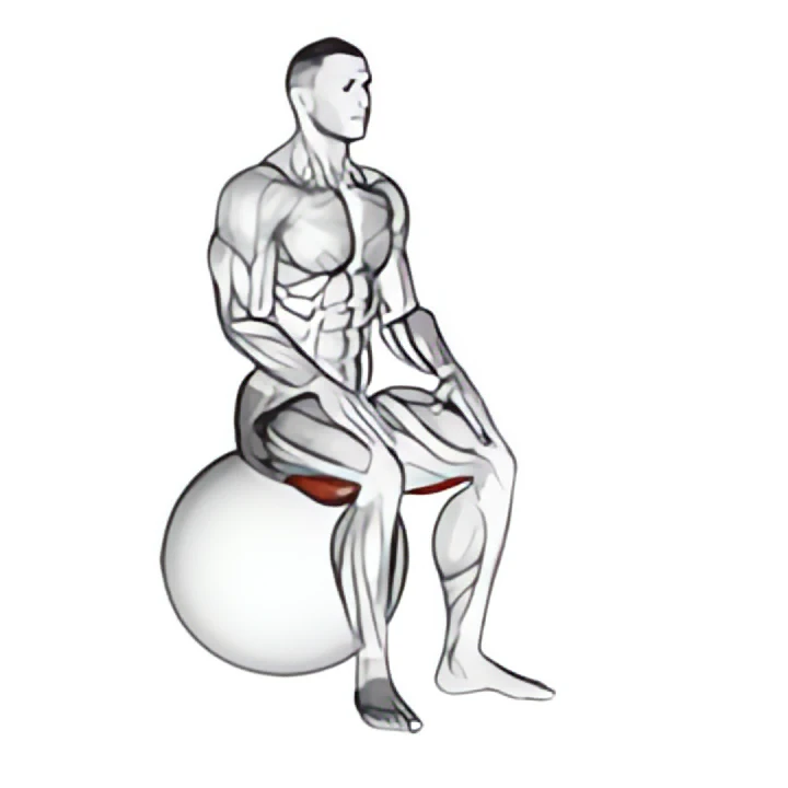 exercise ball seated hamstring stretch
