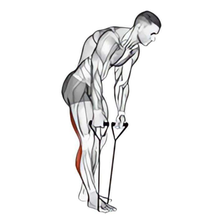 standing hamstring and calf stretch with strap