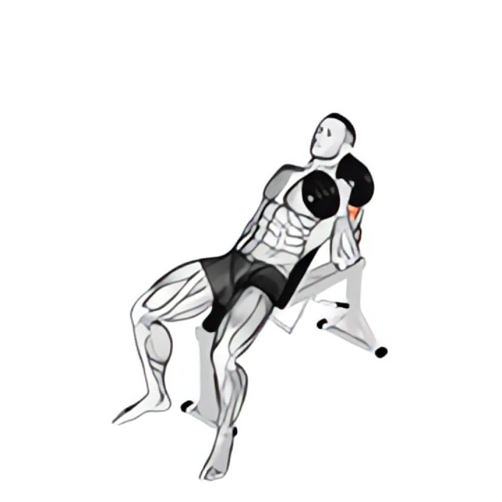dumbbell incline one arm hammer press