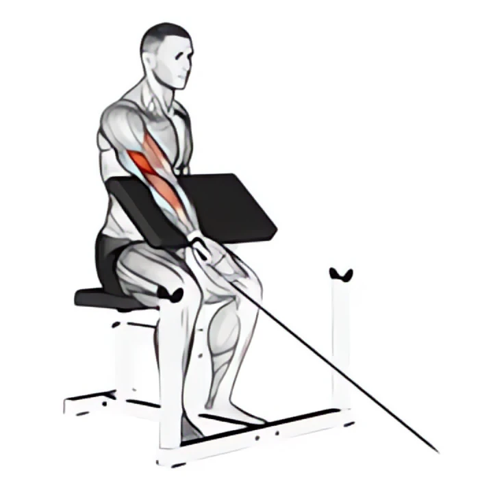 cable one arm preacher curl