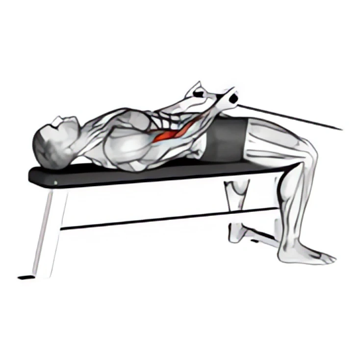 cable lying bicep curl