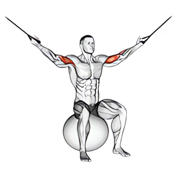 cable overhead curl on exercise ball