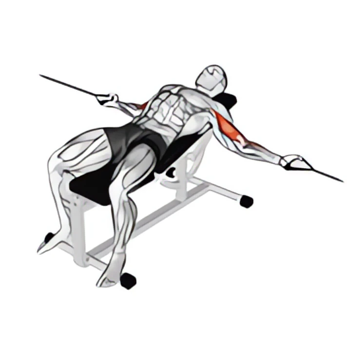 cable two arm curl on incline bench