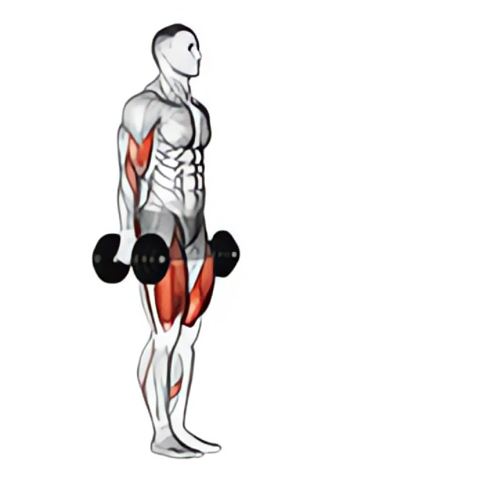 dumbbell lunge with bicep curl