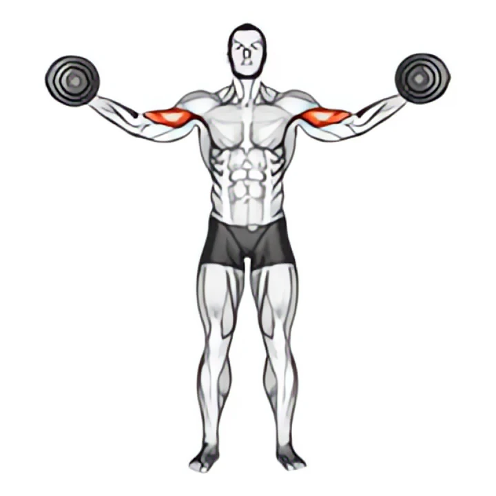 dumbbell high curl