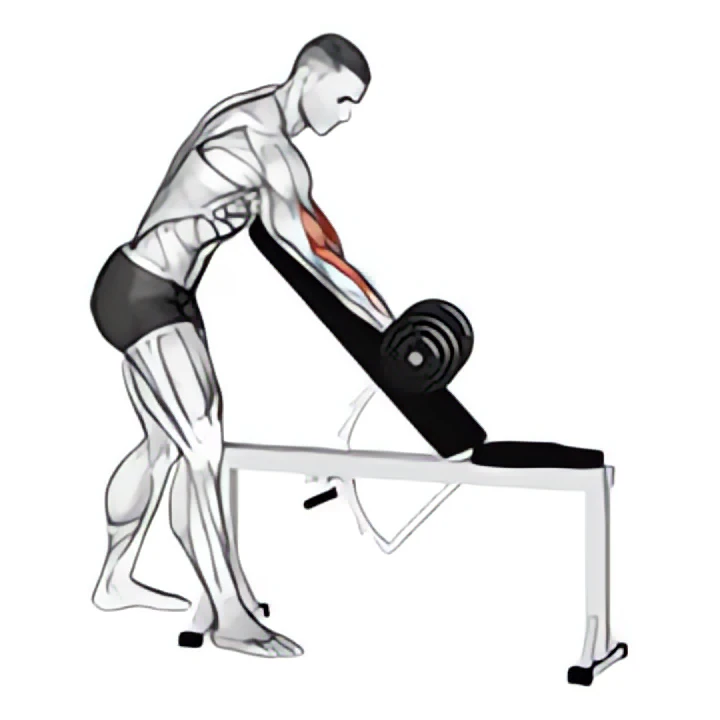 dumbbell one arm zottman preacher curl