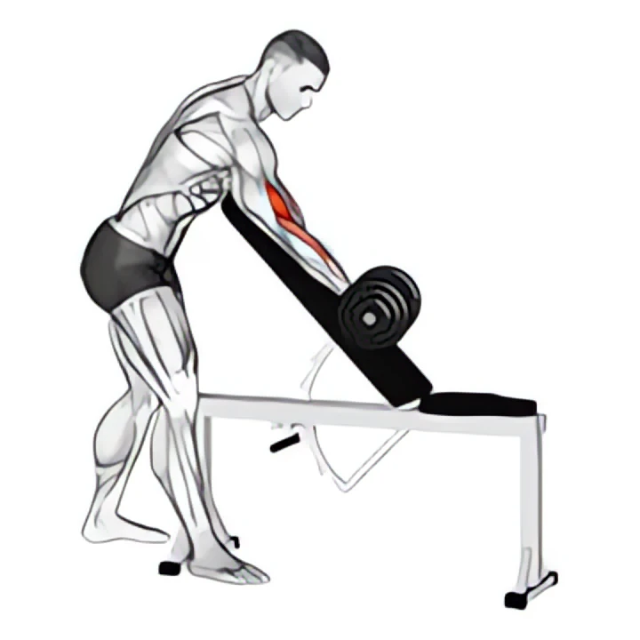 dumbbell standing one arm curl over incline bench