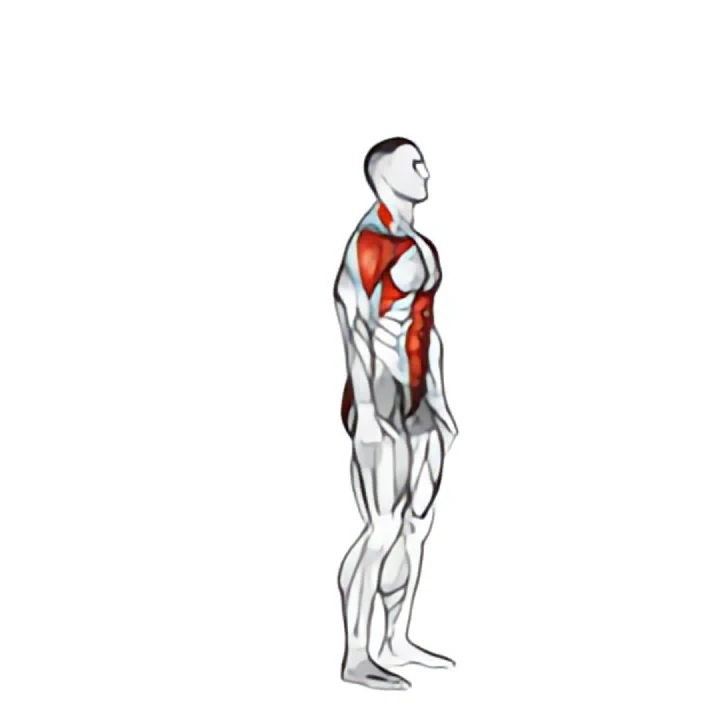 posterior step to overhead reach