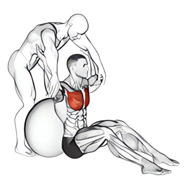 assisted seated pectoralis major stretch with stability ball