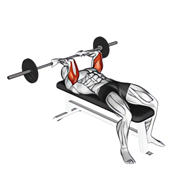barbell reverse grip skullcrusher