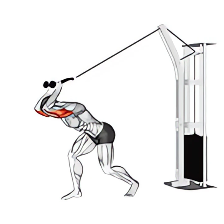 cable high pulley overhead tricep extension