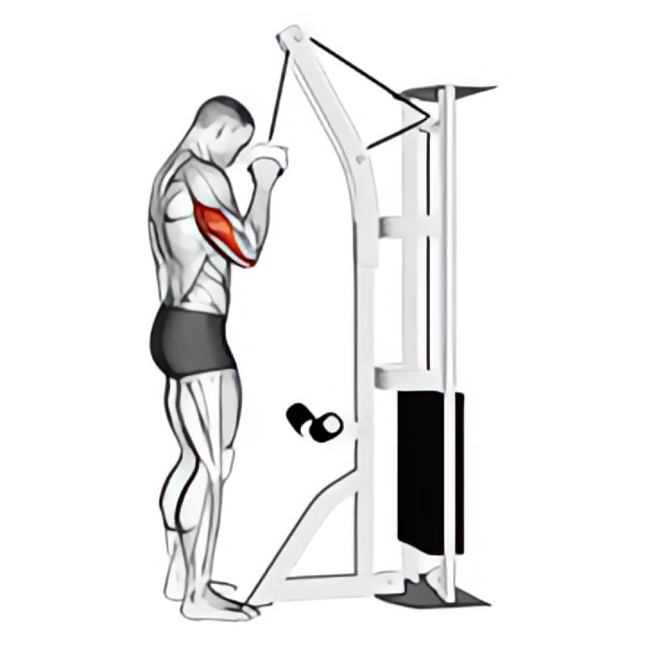 cable one arm tricep pushdown