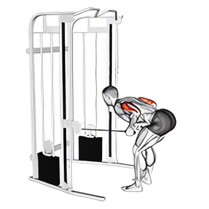 cable two arm tricep kickback