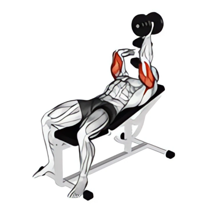 dumbbell lying alternate extension