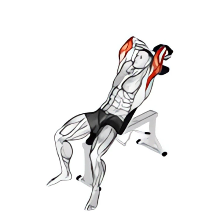 dumbbell incline two arm extension