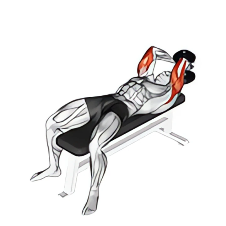 dumbbell lying single extension