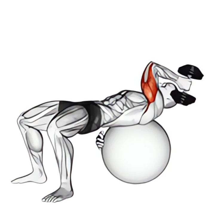 dumbbell one arm french press on exercise ball