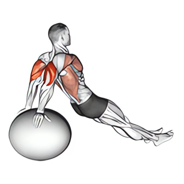 exercise ball dip