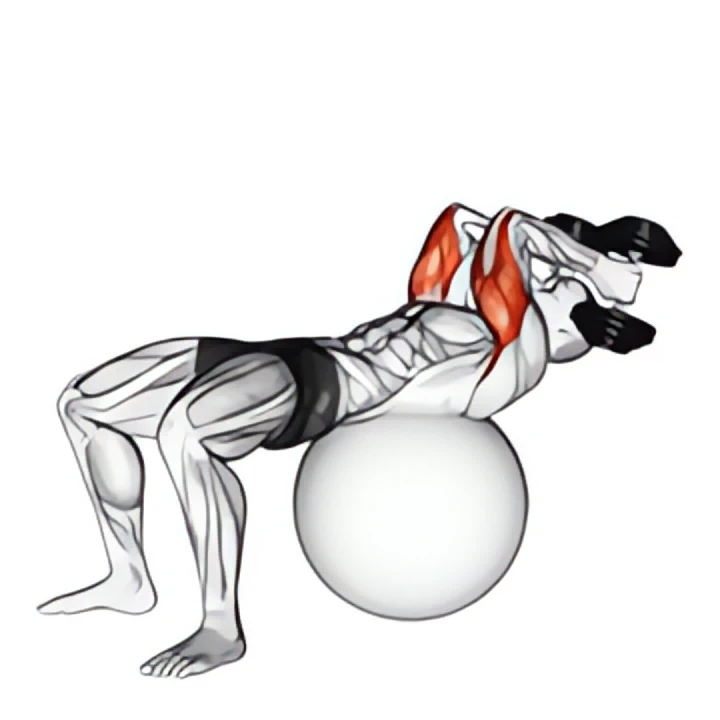 exercise ball supine triceps extension
