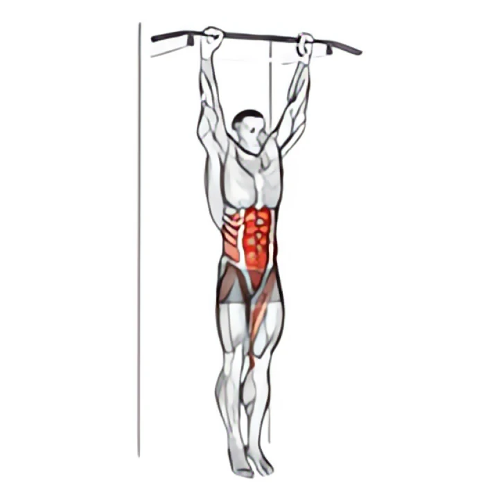 hanging leg hip raise