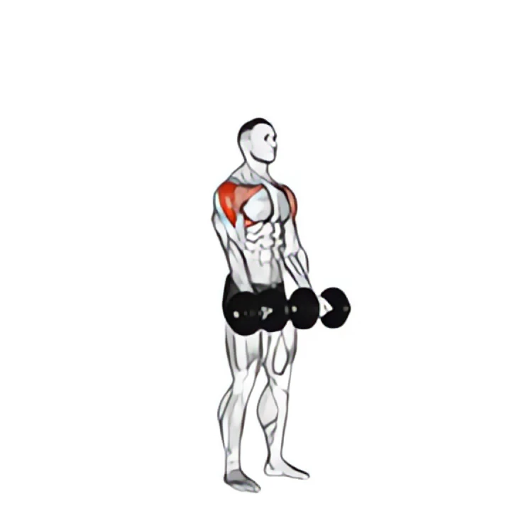 dumbbell standing around world