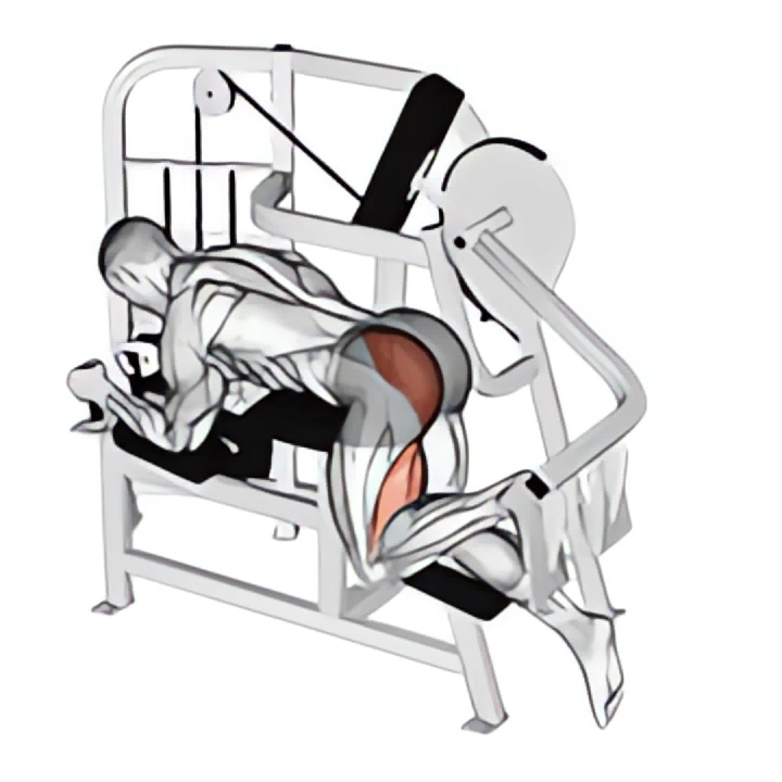 lever hip extension v. 2