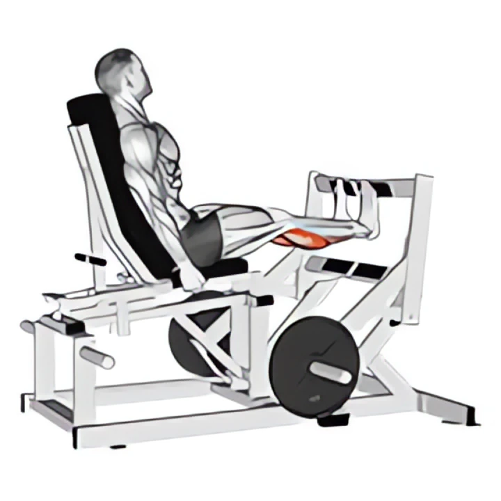 lever calf press