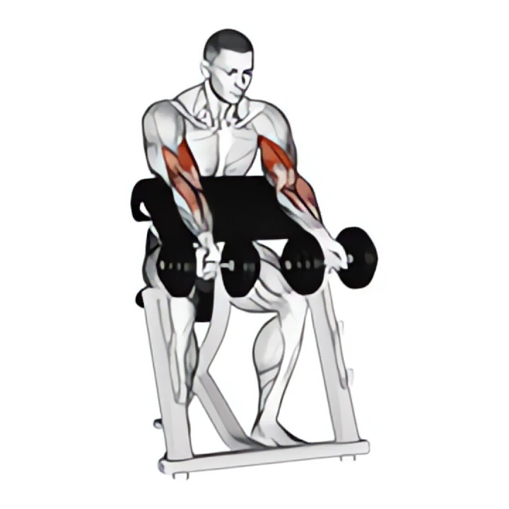 dumbbell zottman preacher curl