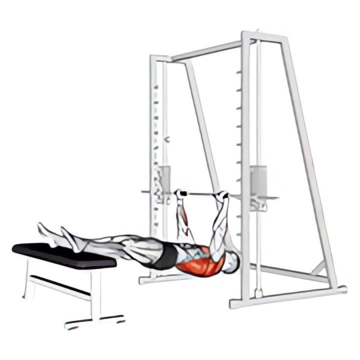 inverted row on bench