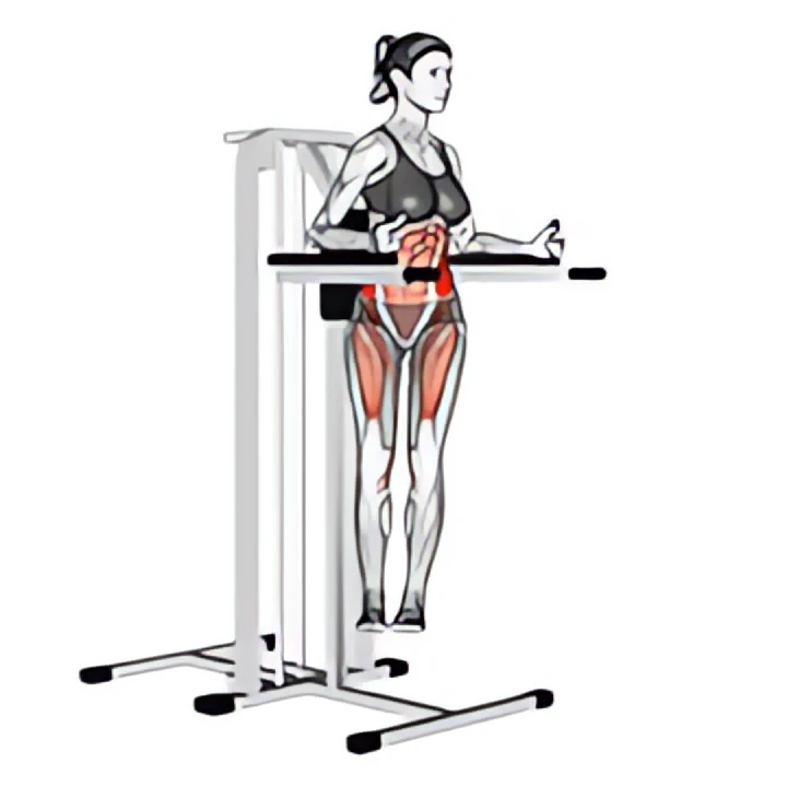 twisted leg raise (female)