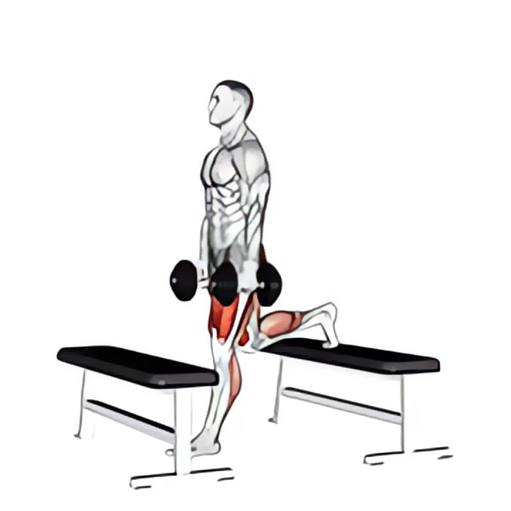 dumbbell step-up split squat