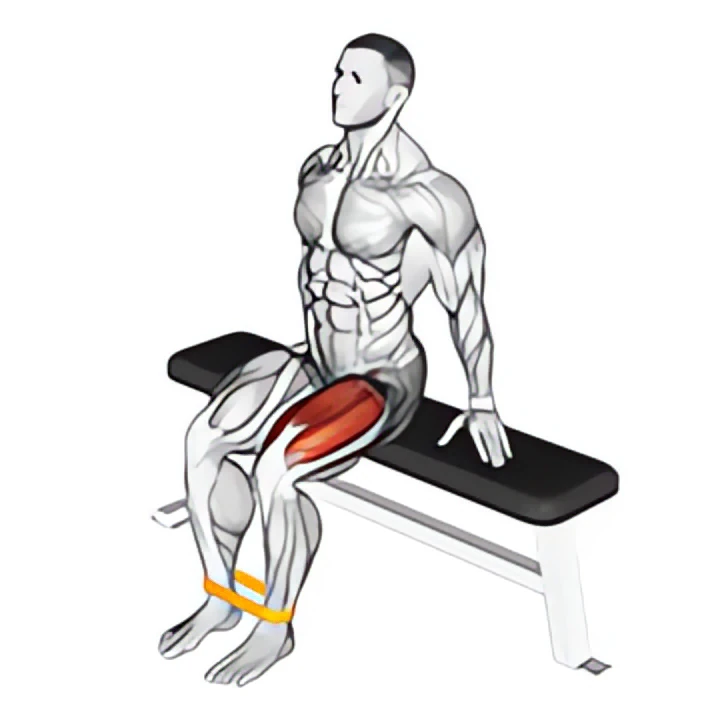 resistance band leg extension