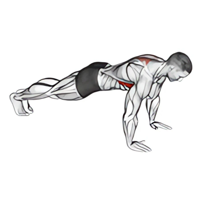 scapula push-up