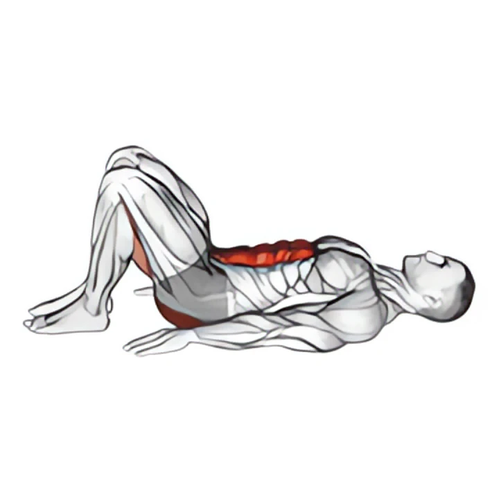 pelvic tilt