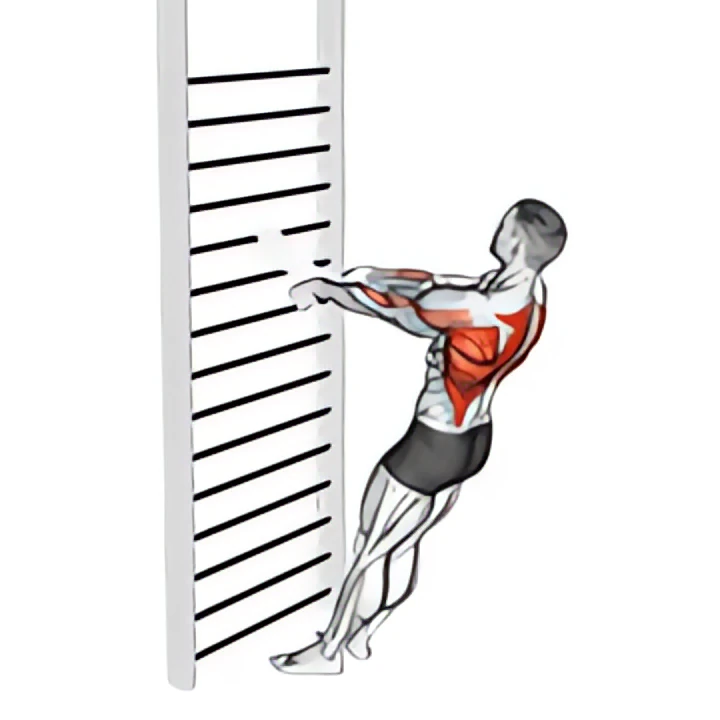bodyweight standing row (with towel)