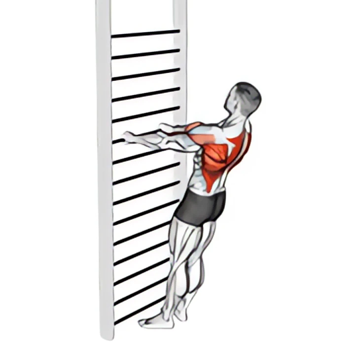 bodyweight standing row
